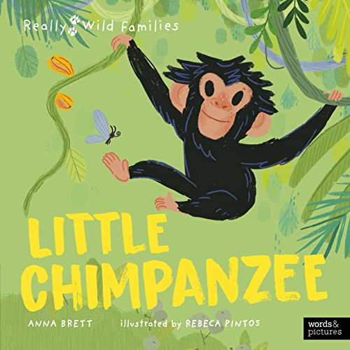 Little Chimpanzee (Really Wild Families)