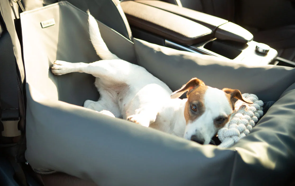 Basenjis Dog Car Seat for GMC Terrain