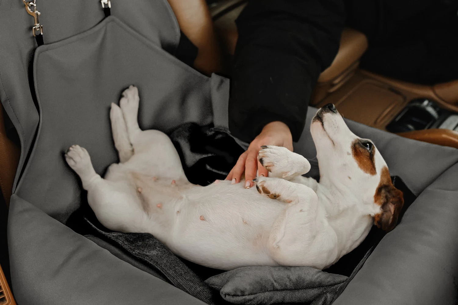 West Highland White Terriers Dog Car Seat for Hyundai Elantra