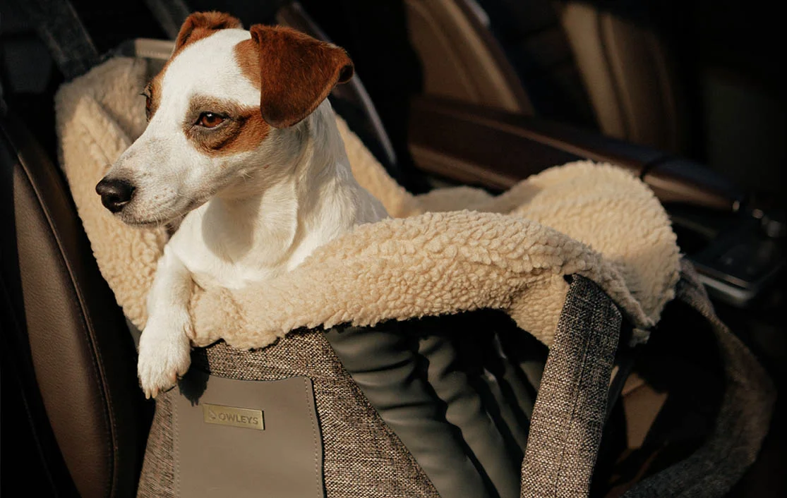 GMC Sierra Dog Carrier Car Seat for Shih Tzu