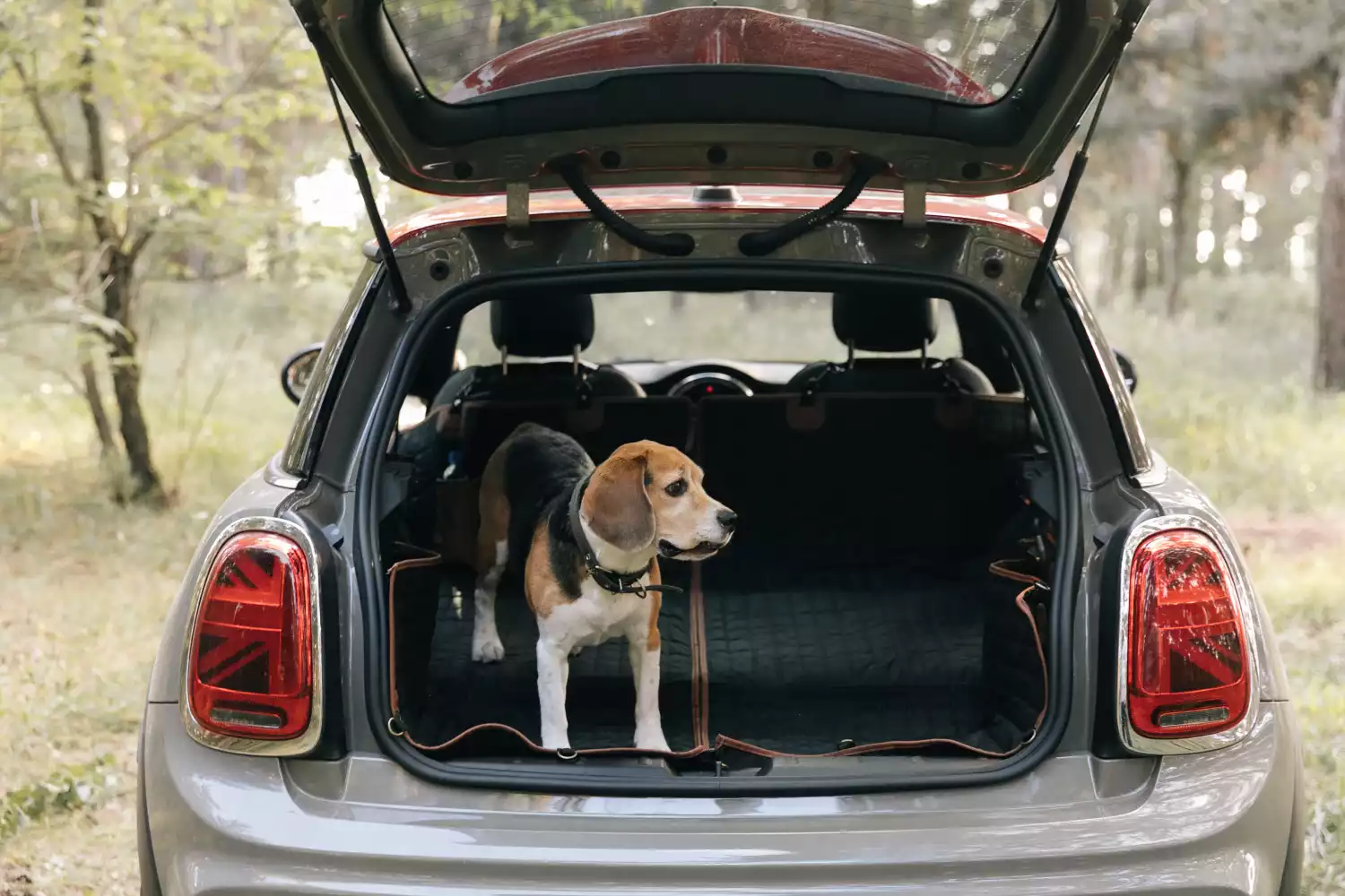 dog back seat cover for Toyota 4Runner