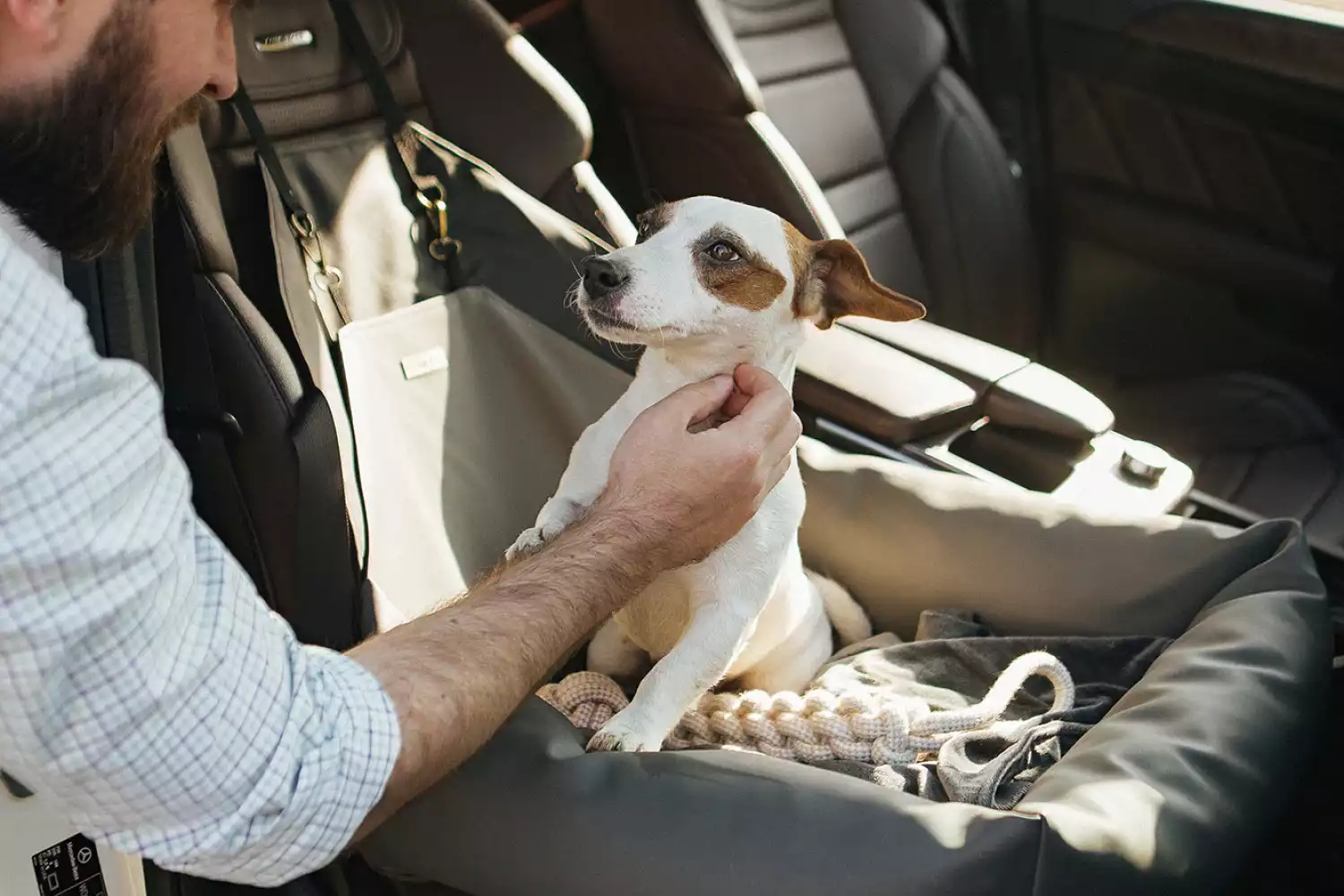 Pekingese Dog Car Seat for GMC Acadia