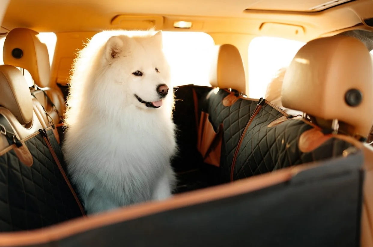 dog back seat cover for Toyota 4Runner