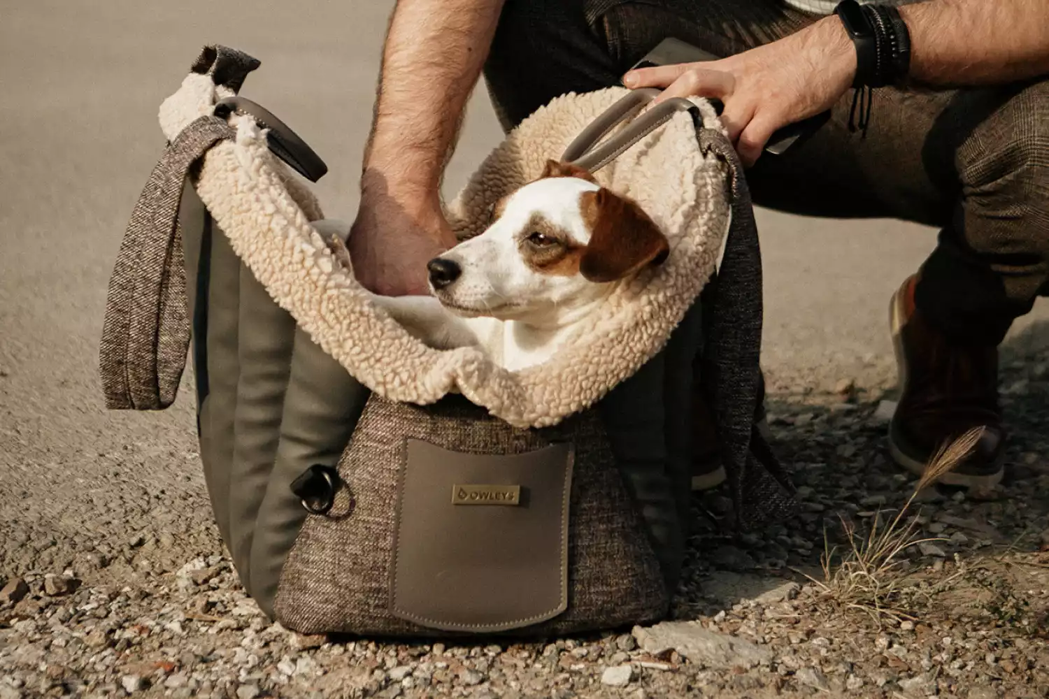 Chevrolet Suburban Dog Carrier Car Seat for Bedlington Terrier
