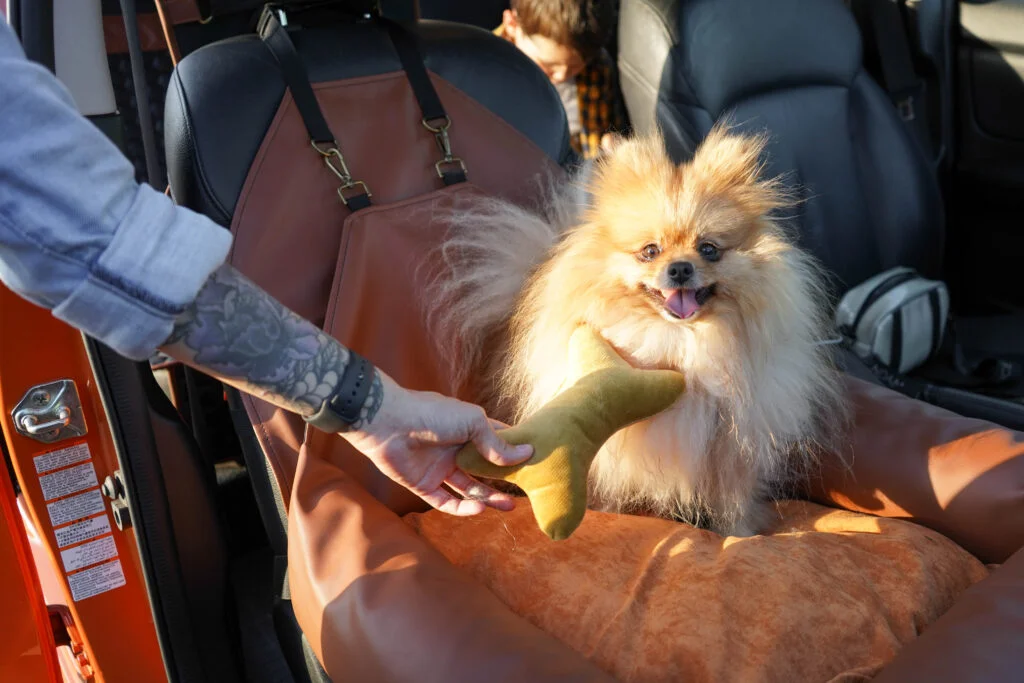 Dodge Durango Dog Car Seat for Chinese Cresteds