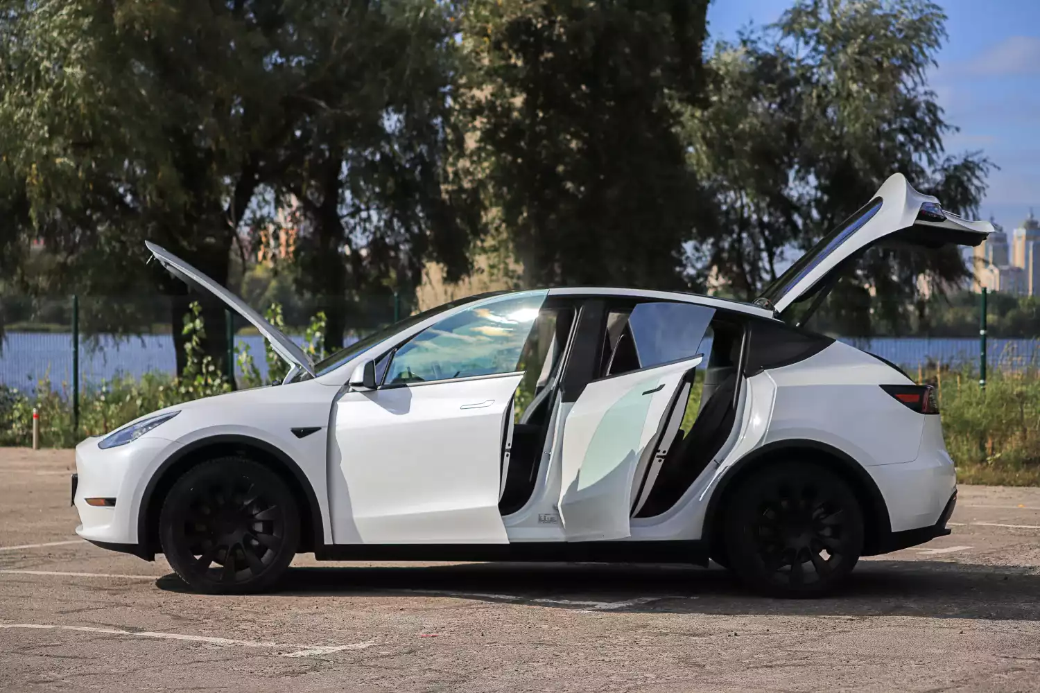 Basenjis Dog Car Seat Belt for Tesla Model Y