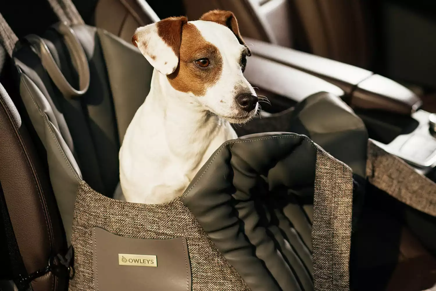 BMW X5 Dog Carrier Car Seat for Biewer Terrier
