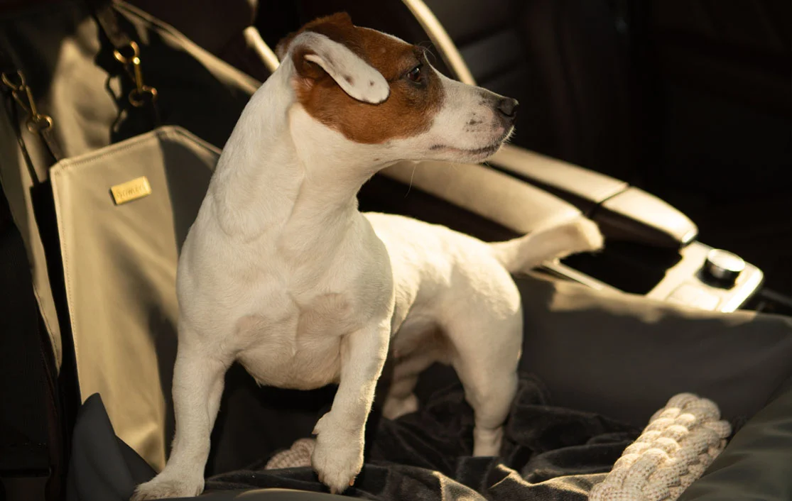 West Highland White Terriers Dog Car Seat for Hyundai Elantra