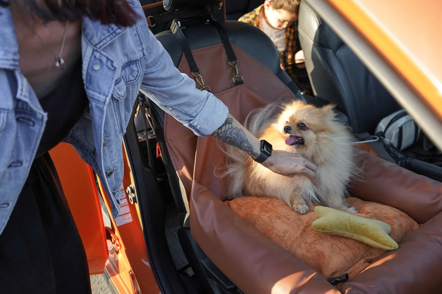 Scottish Terriers Dog Car Seat for Volkswagen Golf